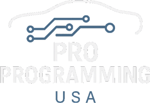 Pro Programming USA